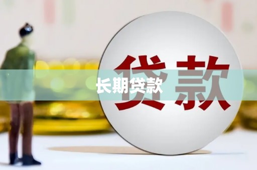 新县长期贷款