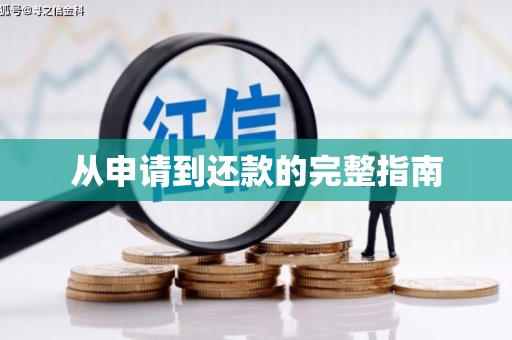 新县从申请到还款的完整指南