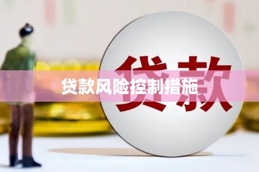 新县贷款风险控制措施