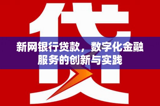 新县新网银行贷款，数字化金融服务的创新与实践