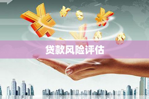 新县贷款风险评估