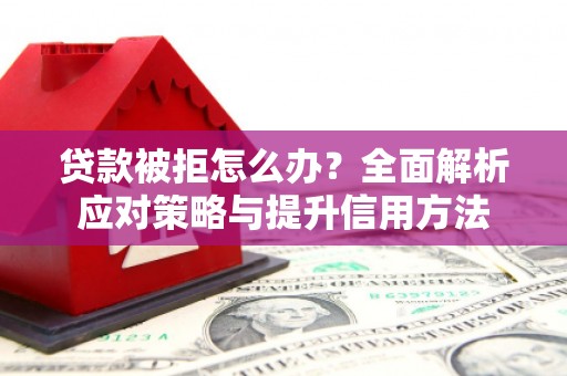 新县贷款被拒怎么办？全面解析应对策略与提升信用方法