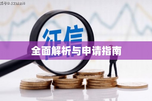 新县全面解析与申请指南