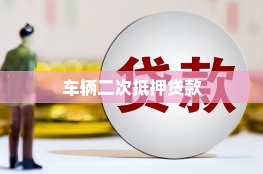 新县车辆二次抵押贷款