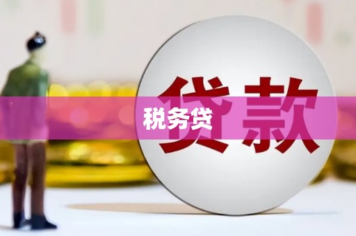 新县税务贷