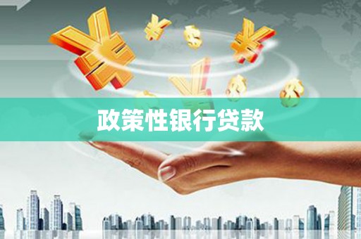 新县政策性银行贷款