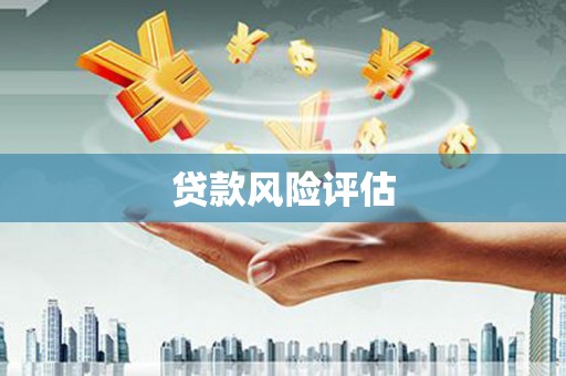 新县贷款风险评估