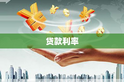 新县贷款利率