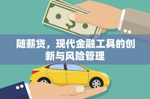 新县随薪贷，现代金融工具的创新与风险管理