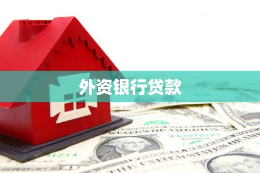 新县外资银行贷款