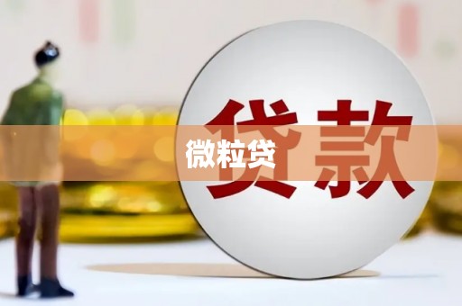 新县微粒贷