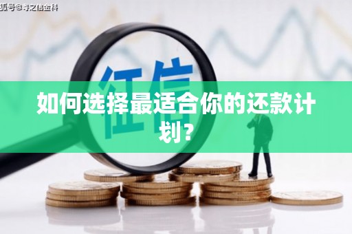 新县如何选择最适合你的还款计划？