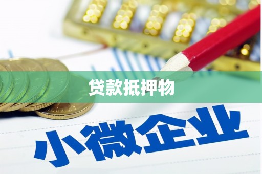 新县贷款抵押物