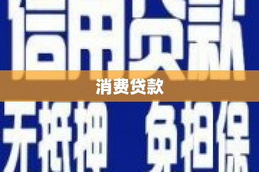 新县消费贷款