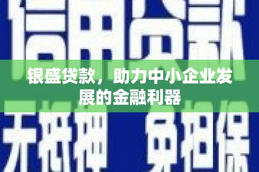 新县银盛贷款，助力中小企业发展的金融利器