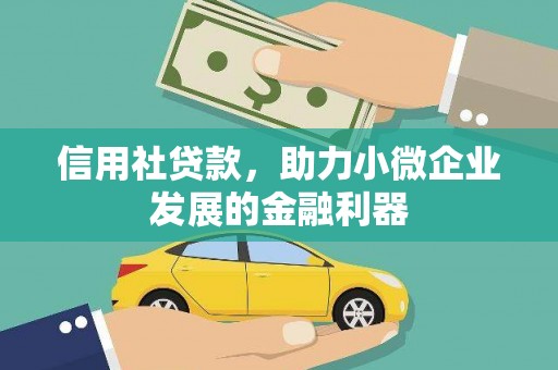 新县信用社贷款，助力小微企业发展的金融利器