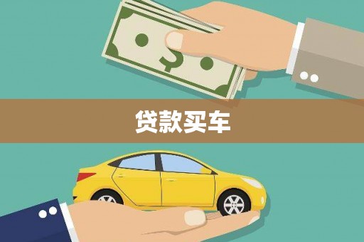 新县贷款买车