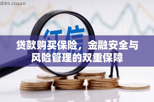 新县贷款购买保险，金融安全与风险管理的双重保障