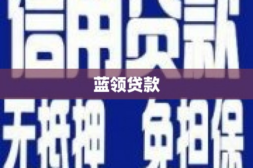 新县蓝领贷款