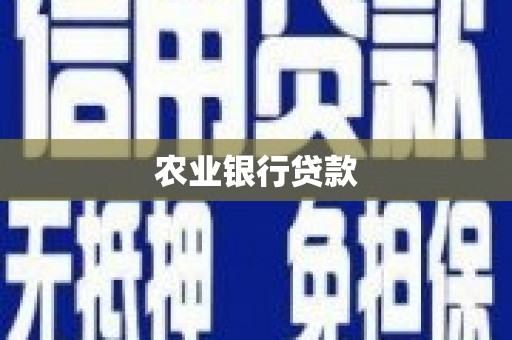 新县农业银行贷款