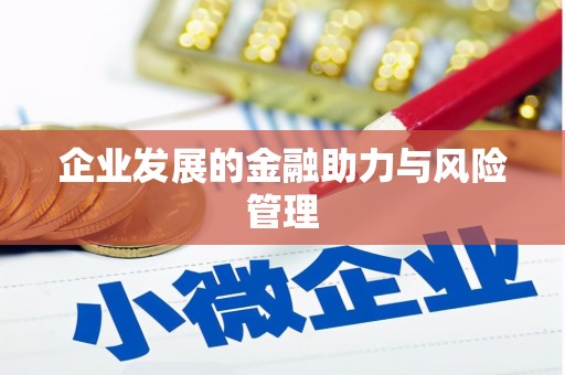 新县企业发展的金融助力与风险管理