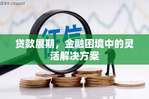 新县贷款展期，金融困境中的灵活解决方案