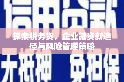 新县探索税务贷，企业融资新途径与风险管理策略