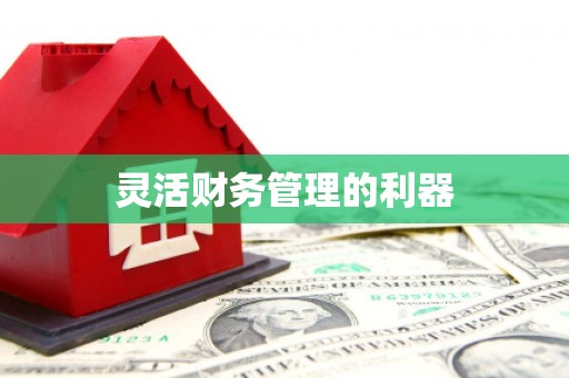新县灵活财务管理的利器
