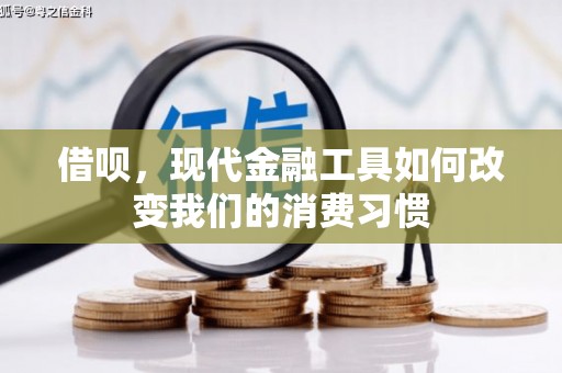 新县借呗，现代金融工具如何改变我们的消费习惯