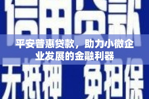 新县平安普惠贷款，助力小微企业发展的金融利器