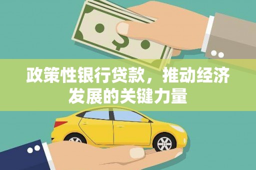 新县政策性银行贷款，推动经济发展的关键力量