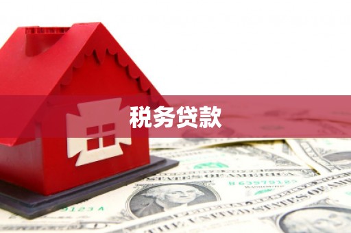 新县税务贷款