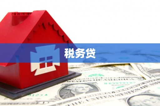新县税务贷