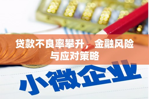 新县贷款不良率攀升，金融风险与应对策略