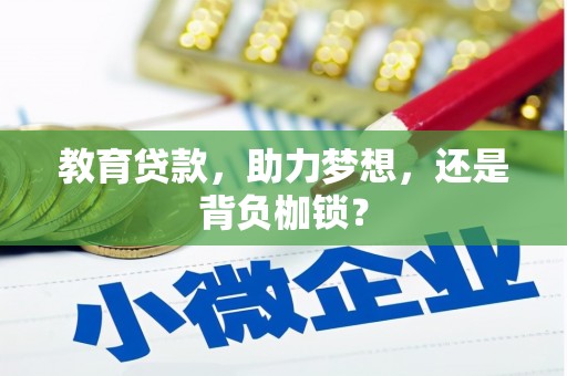 新县教育贷款，助力梦想，还是背负枷锁？