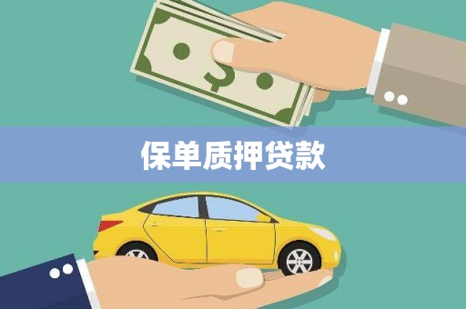 新县保单质押贷款