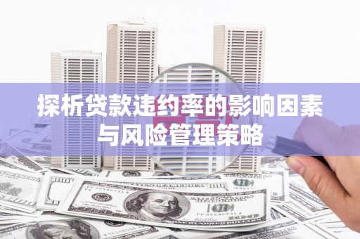 新县探析贷款违约率的影响因素与风险管理策略