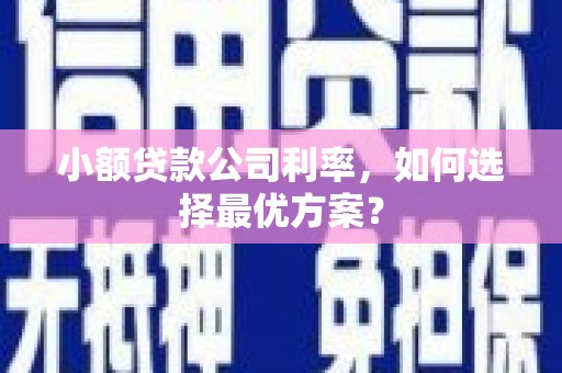 新县小额贷款公司利率，如何选择最优方案？