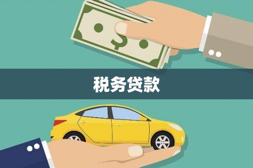 新县税务贷款
