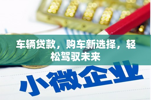 新县车辆贷款，购车新选择，轻松驾驭未来