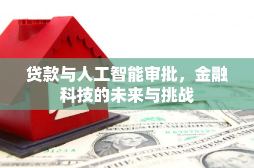 新县贷款与人工智能审批，金融科技的未来与挑战