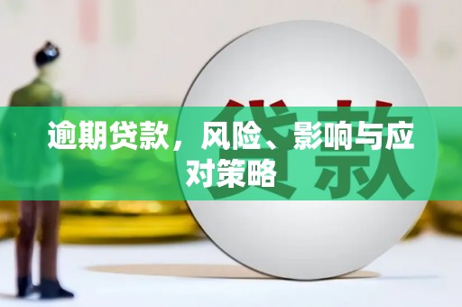 新县逾期贷款，风险、影响与应对策略
