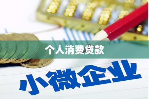 新县个人消费贷款