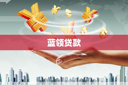 新县蓝领贷款