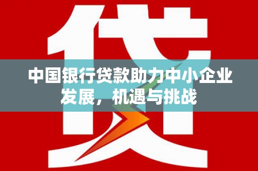新县中国银行贷款助力中小企业发展，机遇与挑战