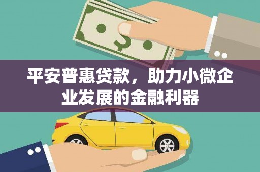 新县平安普惠贷款，助力小微企业发展的金融利器