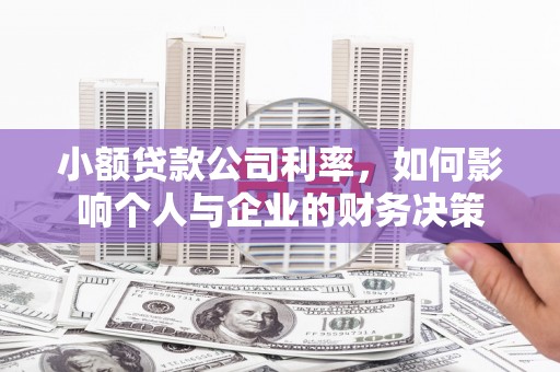 新县小额贷款公司利率，如何影响个人与企业的财务决策