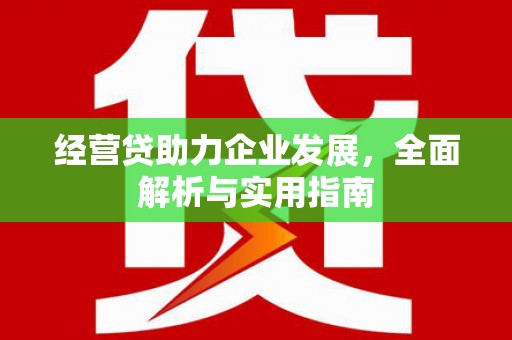 新县经营贷助力企业发展，全面解析与实用指南