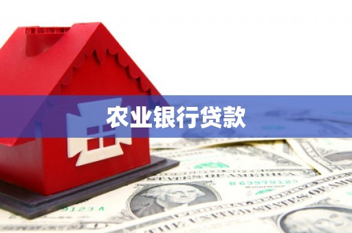 新县农业银行贷款