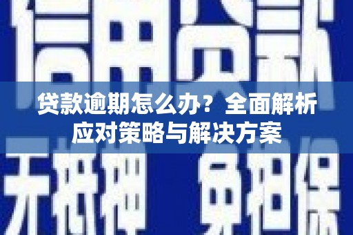 新县贷款逾期怎么办？全面解析应对策略与解决方案